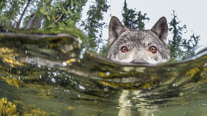 Фото IAN MCALLISTER