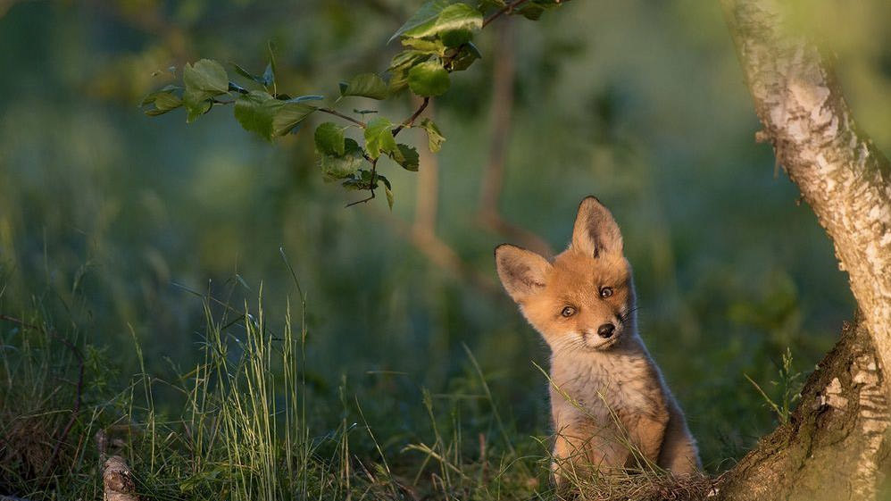 Фото KALMER LEHEPUU