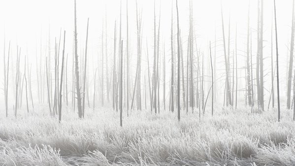 Jeff Vanuga/Corbis. Єллоустонський національний парк, Вайомінг