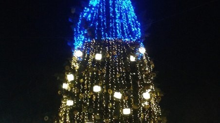 Ялинка у Львові