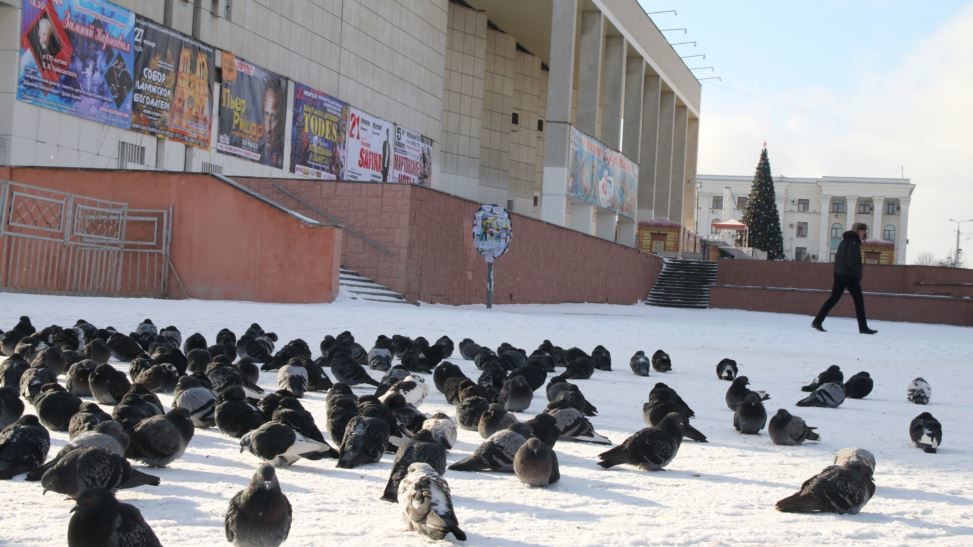 Подготовка к Новому Году в Симферополе