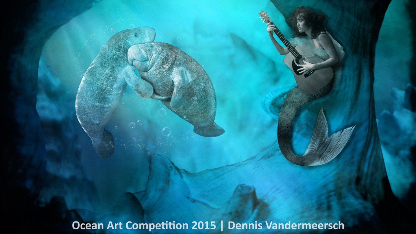 3 місце в категорії "Концептуальний знімок"