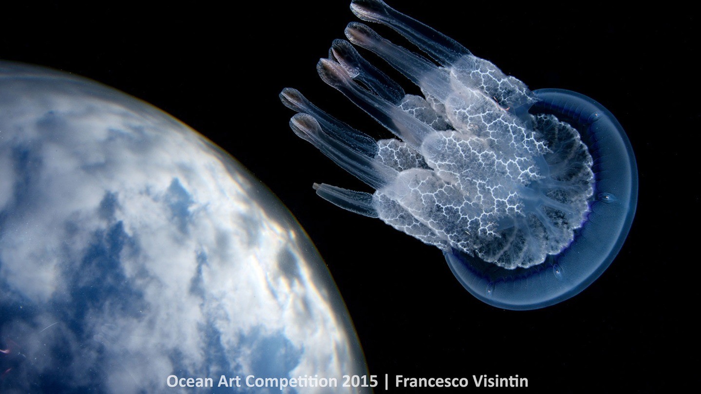 Переможець в категорії "Ширококутна фотографія"