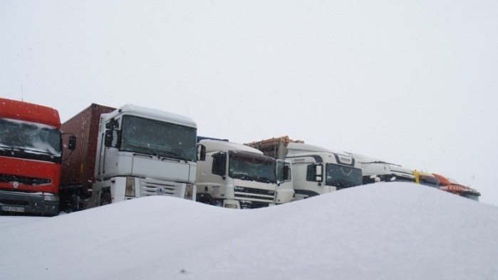 Вантажівки під Одесою