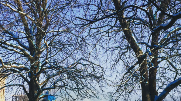 Інсталяція "Clouds"