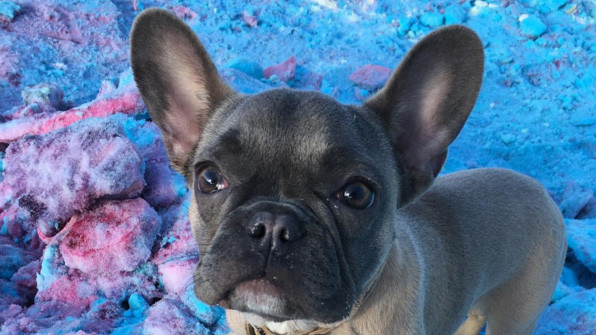 Інсталяція "Clouds"