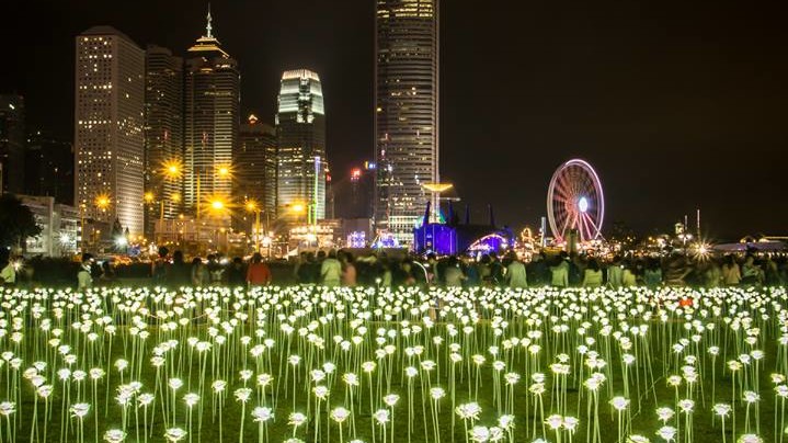 Light Rose Garden в парке Гонконга