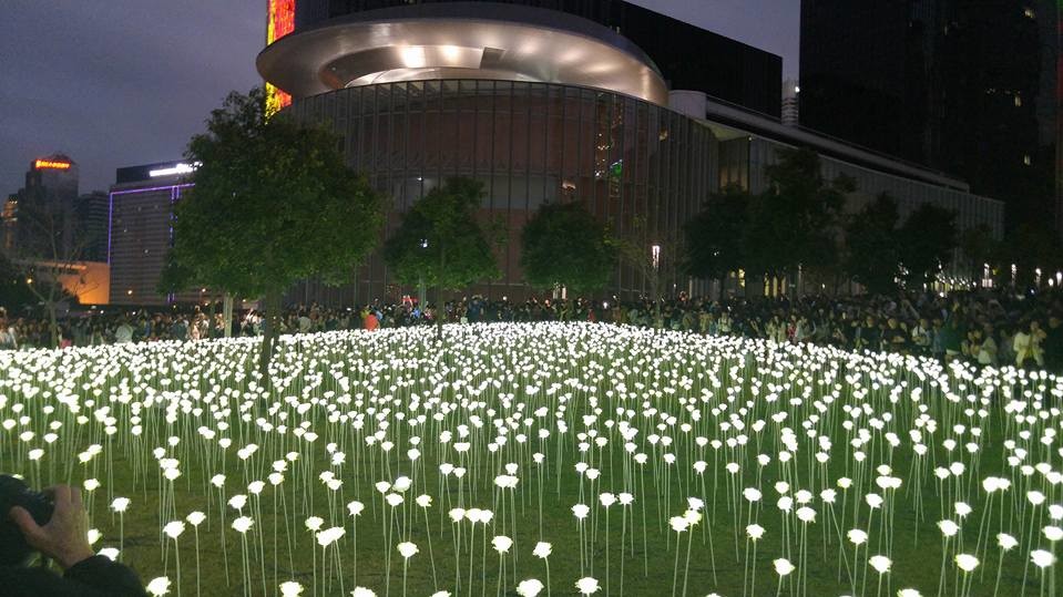 Light Rose Garden в парке Гонконга