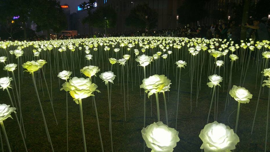 Light Rose Garden в парке Гонконга