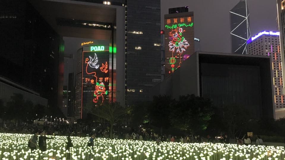 Light Rose Garden в парке Гонконга