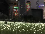Light Rose Garden в парке Гонконга
