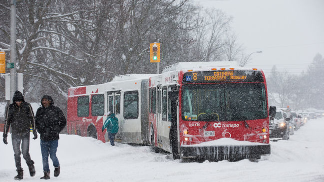 Снігопад в Оттаві