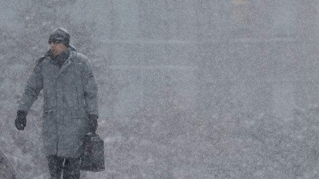 Снігопад в Оттаві