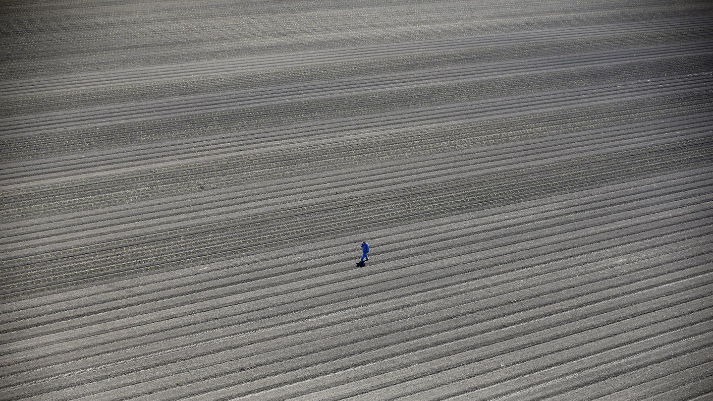 Фото LUCY NICHOLSON