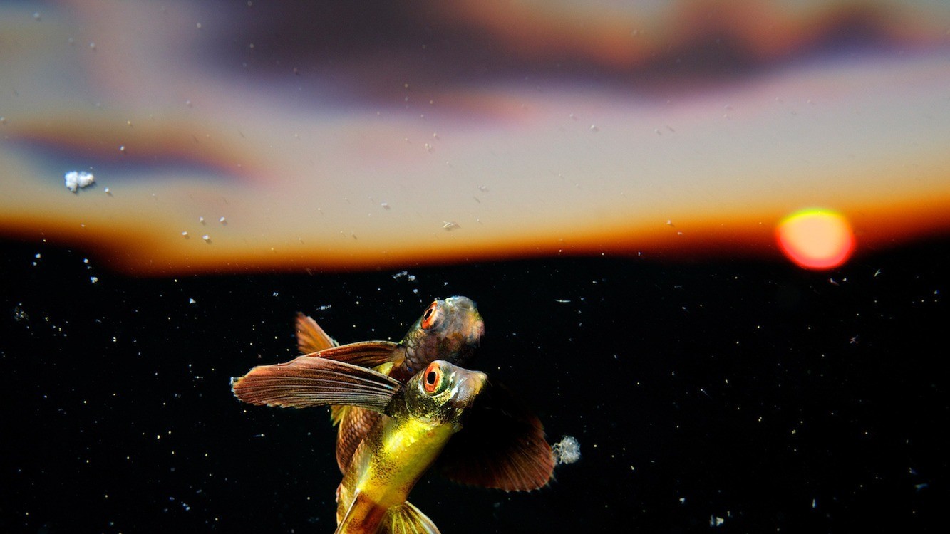 Фото ERIC MADEJA