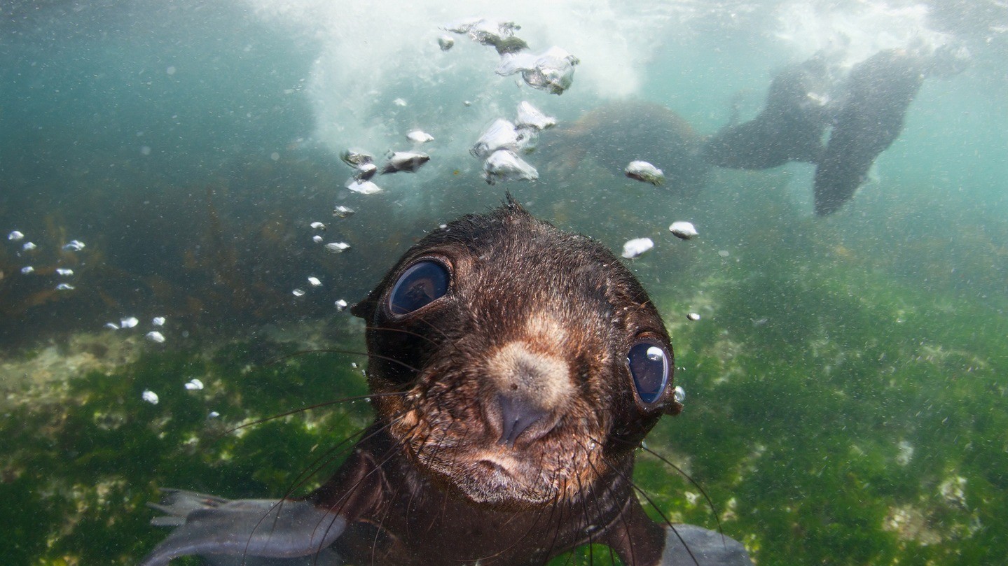 Фото ANDREY NARCHUK