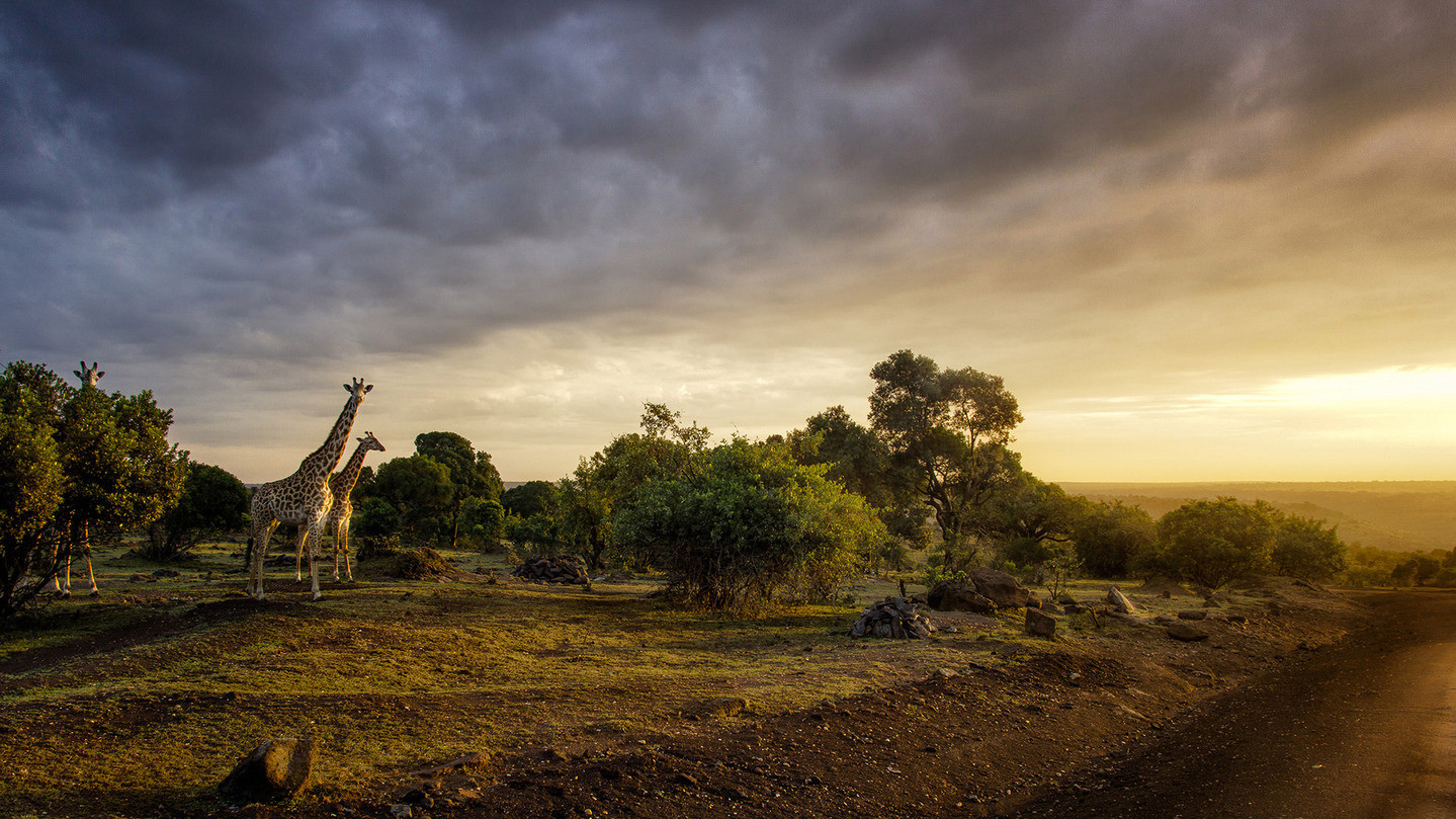 Фото PRAKASH SINGH