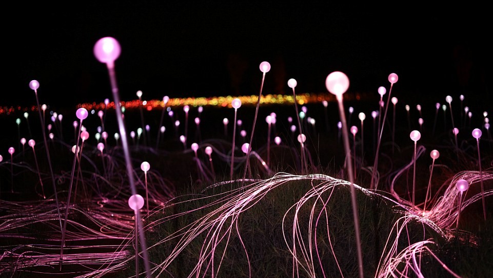 Проект носить назву Field of Light