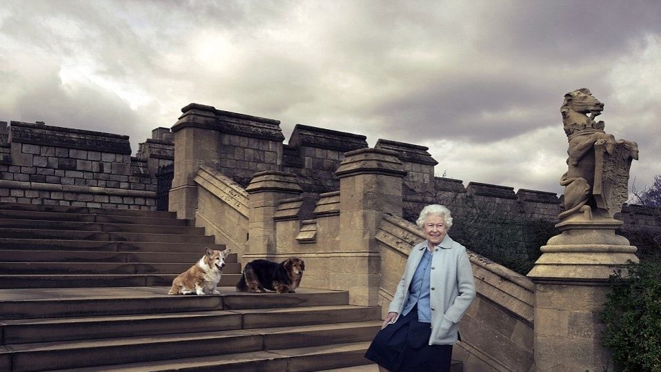 Королева Елизавета ІІ со своими собаками