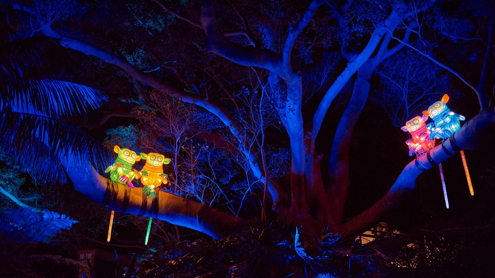 Фестиваль Vivid Sydney в Австралії триватиме до 18 червня