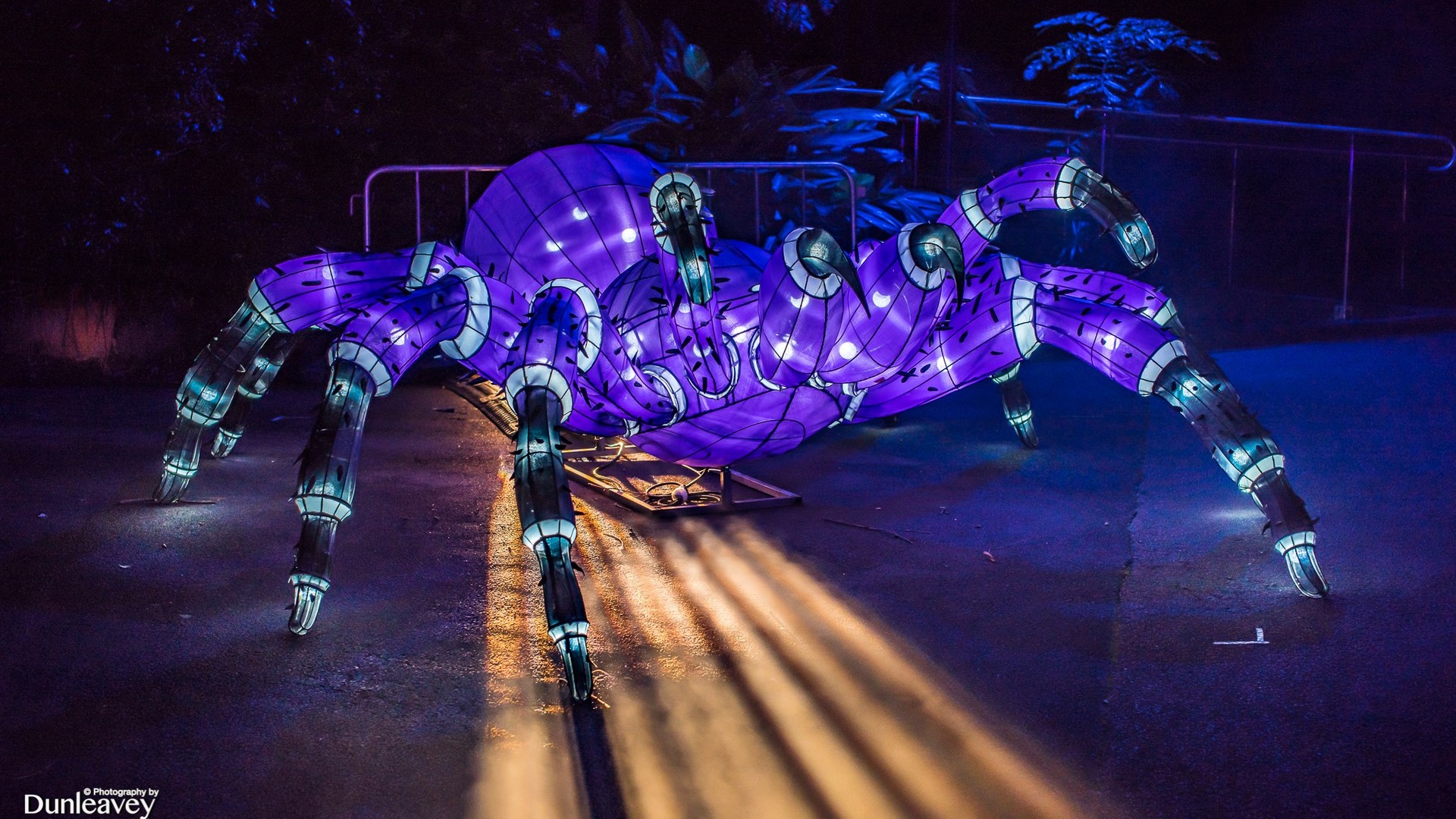 Фестиваль Vivid Sydney в Австралії