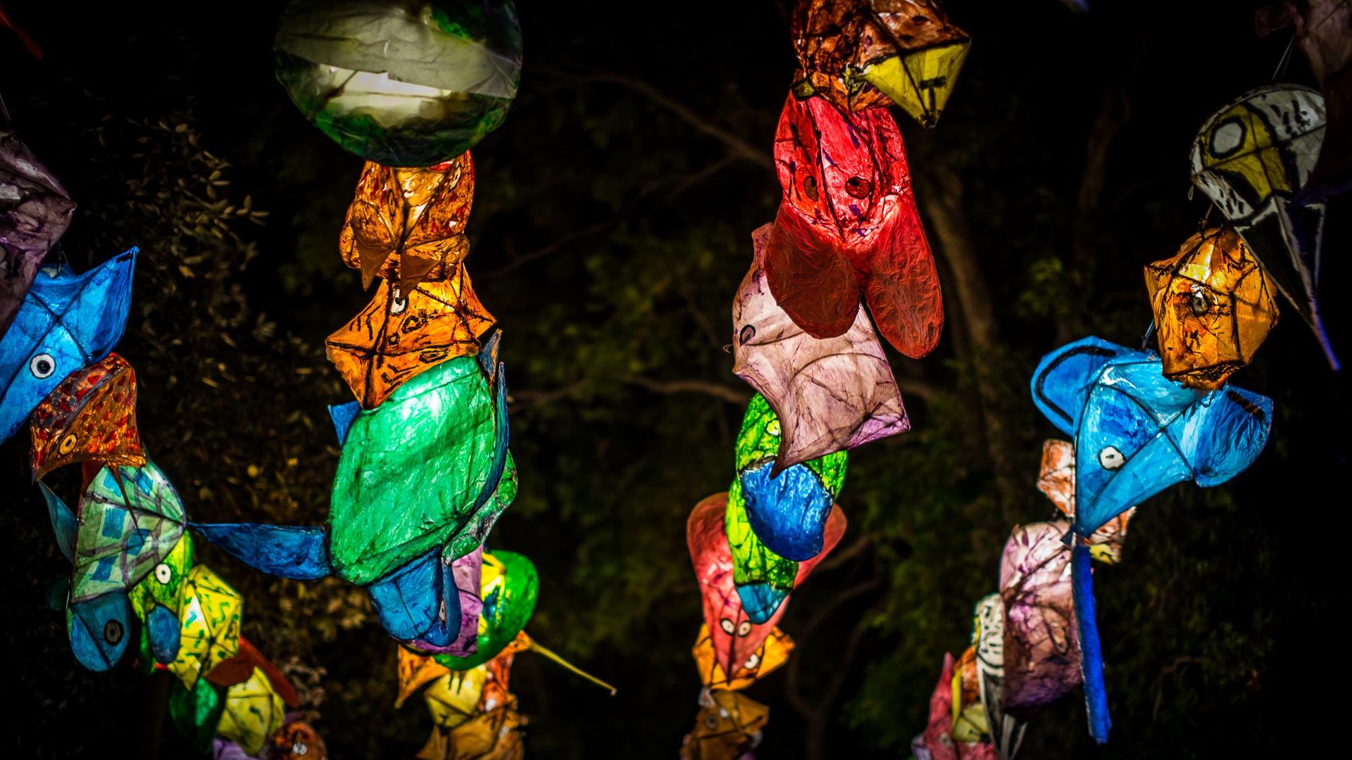 Фестиваль Vivid Sydney в Австралії