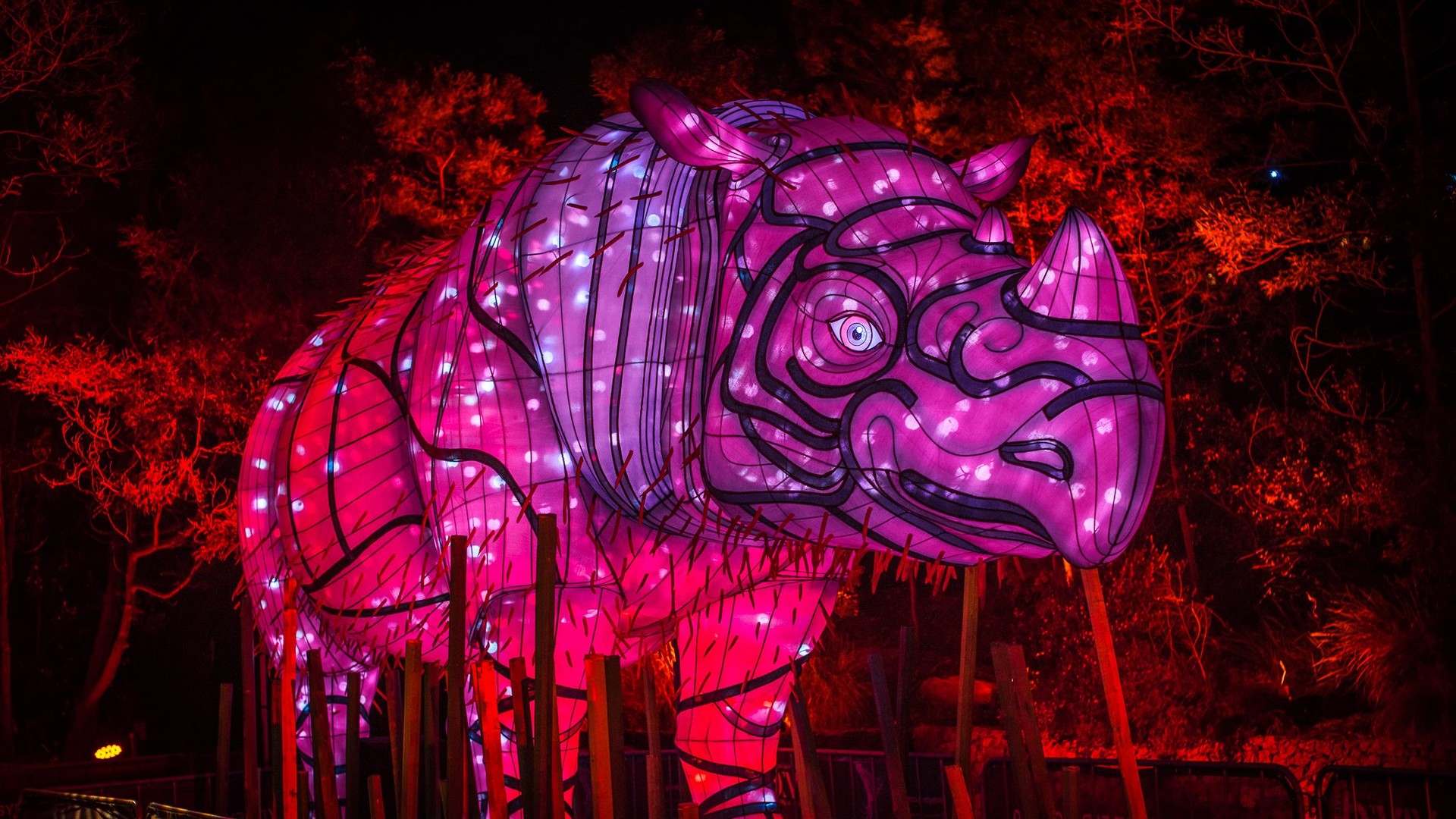 Фестиваль Vivid Sydney в Австралії