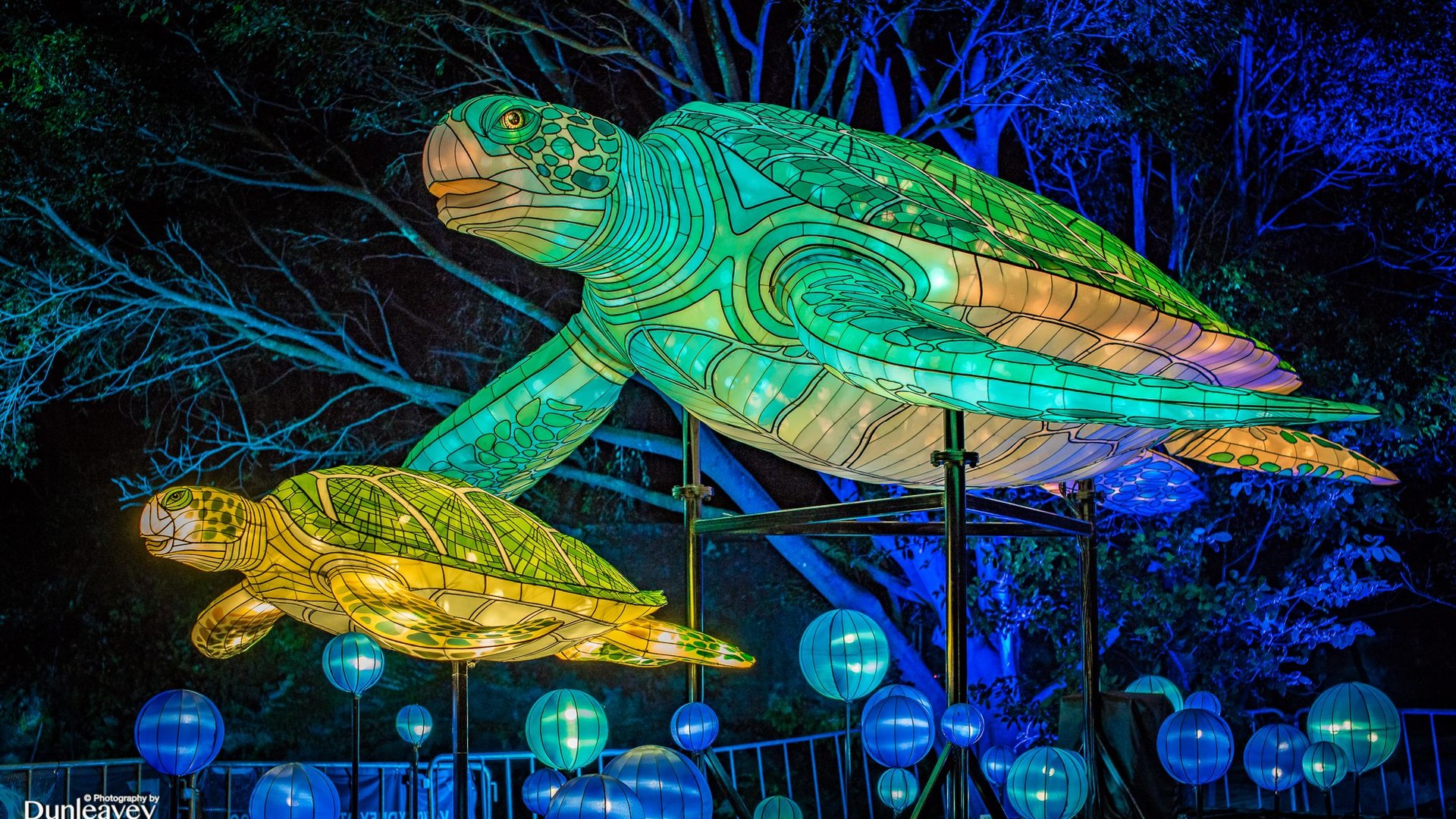 Фестиваль Vivid Sydney в Австралії