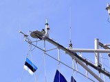 В Балтийском море стартуют учения стран НАТО Baltops-2016