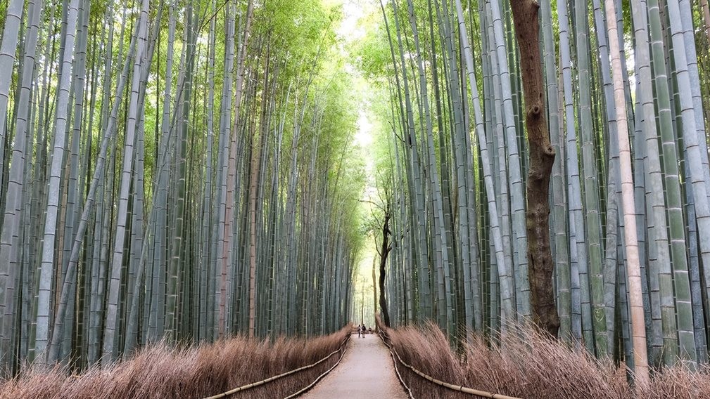 Третє місце. Фото Doug Stratton