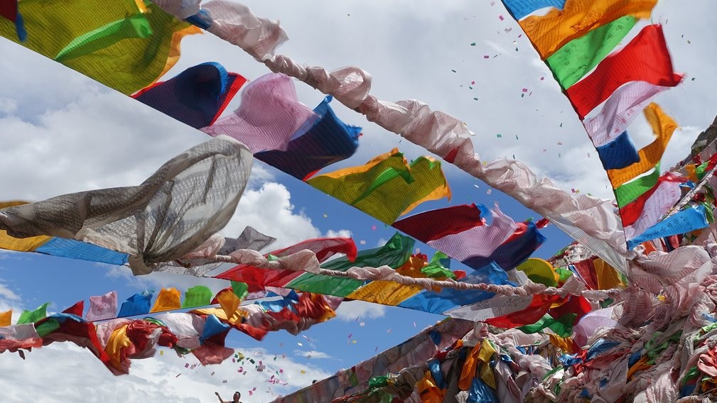 Фото Luke Pilkington