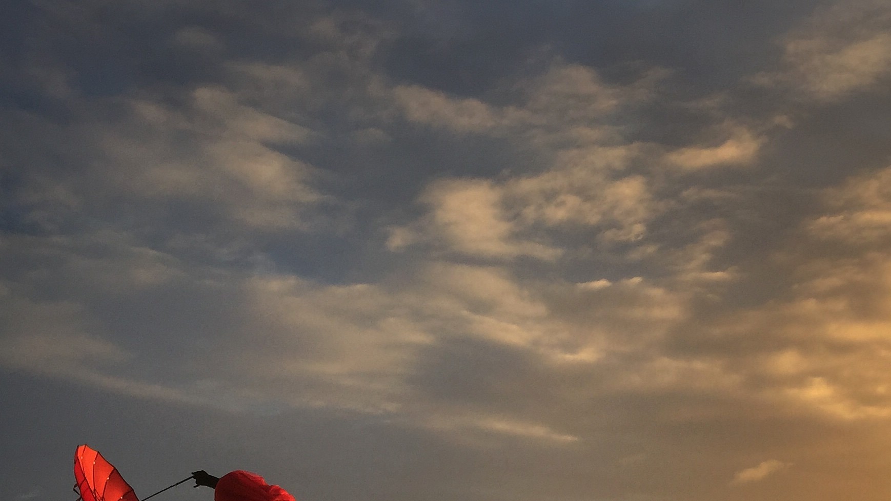 2 місце. Фото Robin Robertis