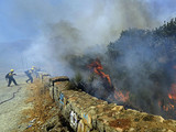 Лісові пожежі в Португалії забрали життя 57 осіб