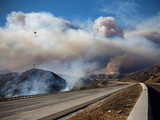 Лісові пожежі в Португалії забрали життя 57 осіб