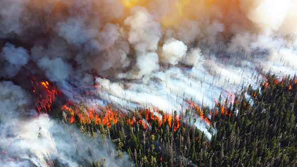 Лісові пожежі в Португалії забрали життя 57 осіб