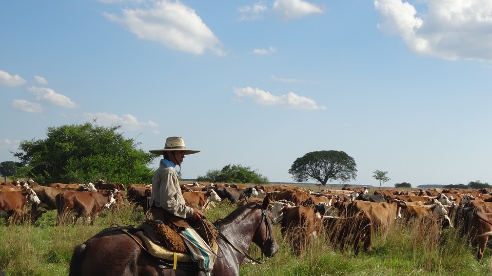 12. Аргентина