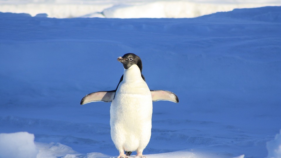 Антарктида