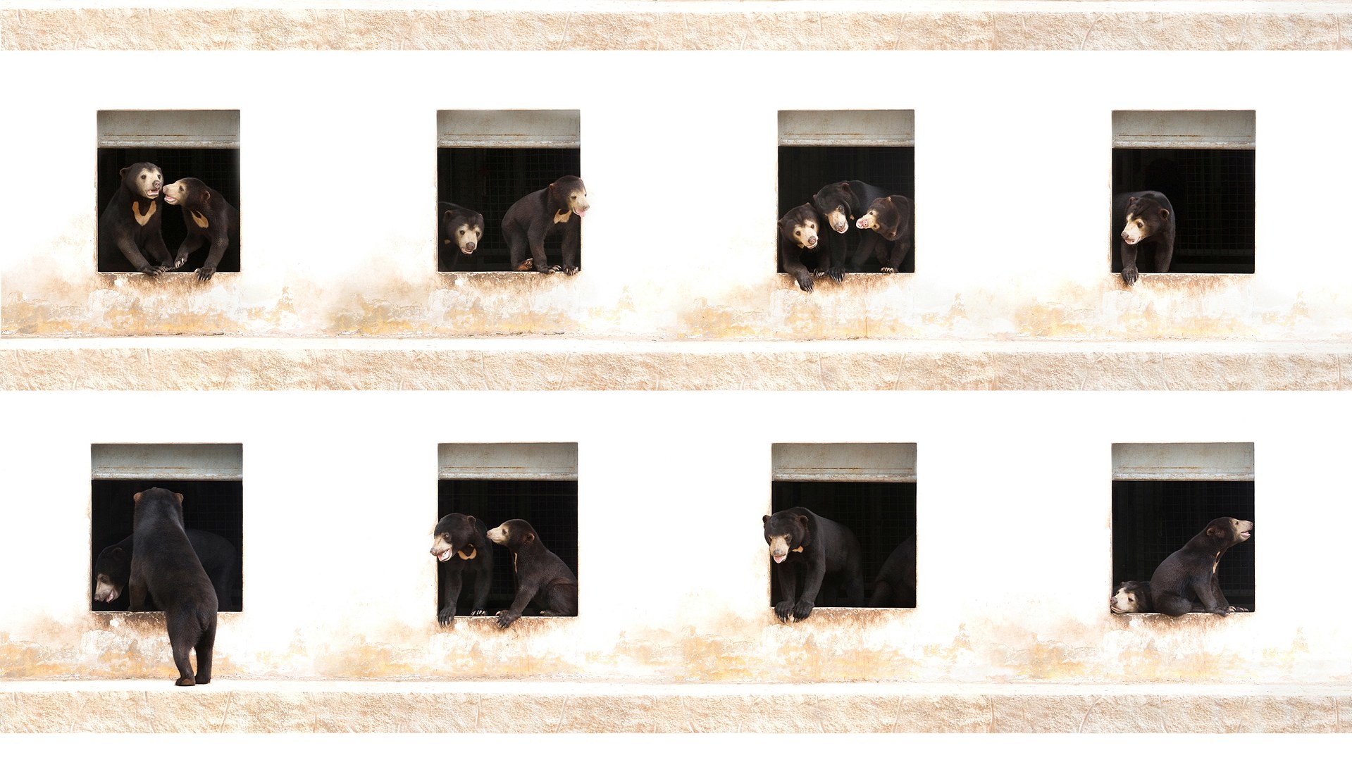 Фото Alexandra Cearns