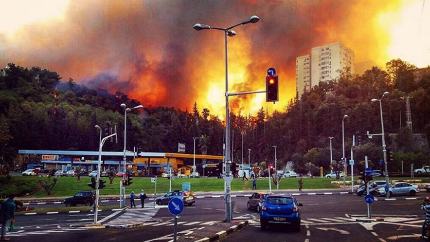 Поліція Ізраїлю затримала   вірогідних винуватців масових пожеж