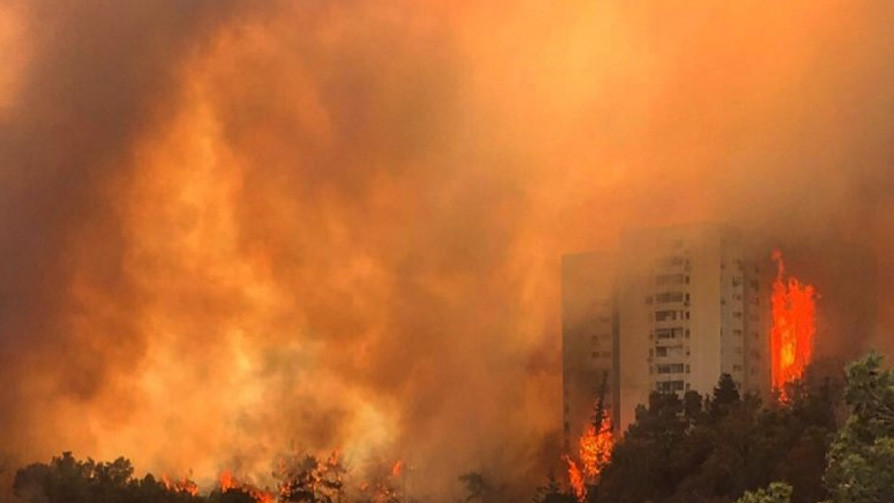 Пожежі в Хайфі