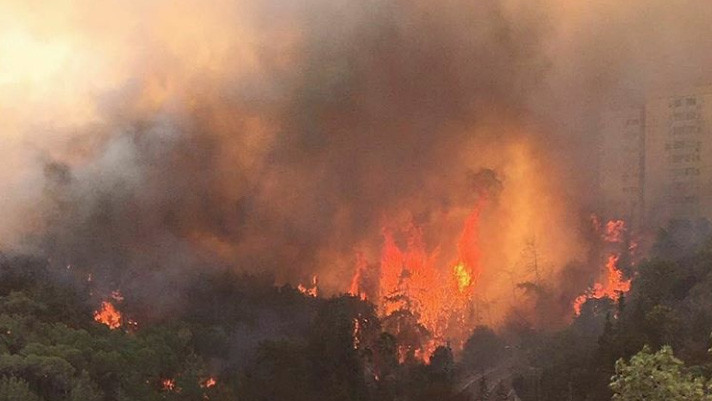 Пожежі в Хайфі