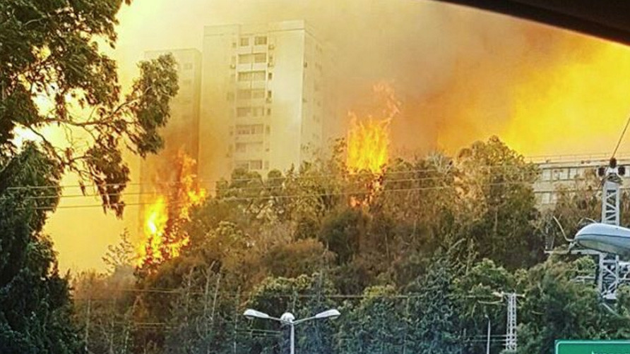 Пожежі в Хайфі