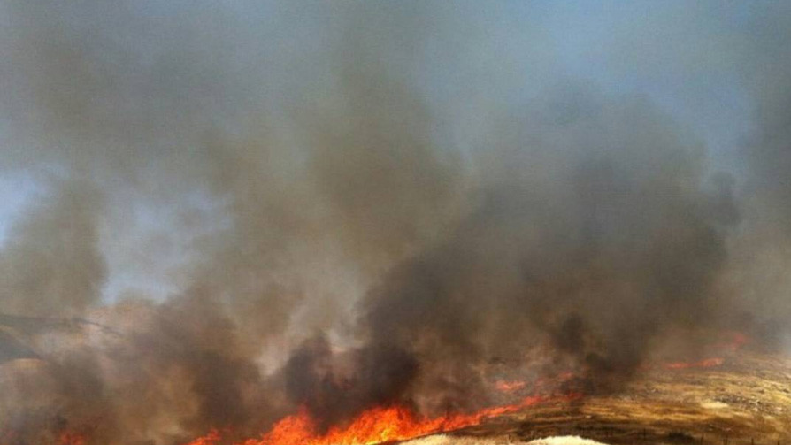 Пожежі в Хайфі