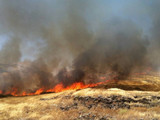Пожежі в Хайфі