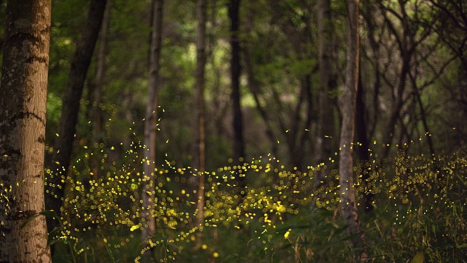 В книге собраны лучшие пейзажи от фотографов National Geographic