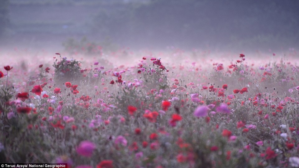 В книге собраны лучшие пейзажи от фотографов National Geographic