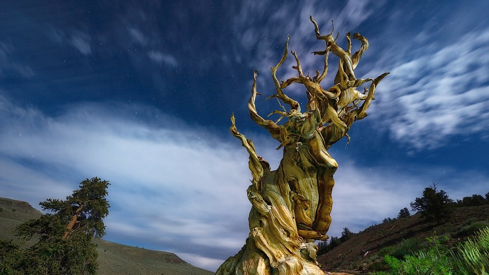 В книге собраны лучшие пейзажи от фотографов National Geographic