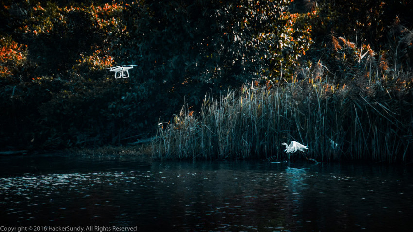 Призер конкурсу дрон-фотографії SkyPixel 2016