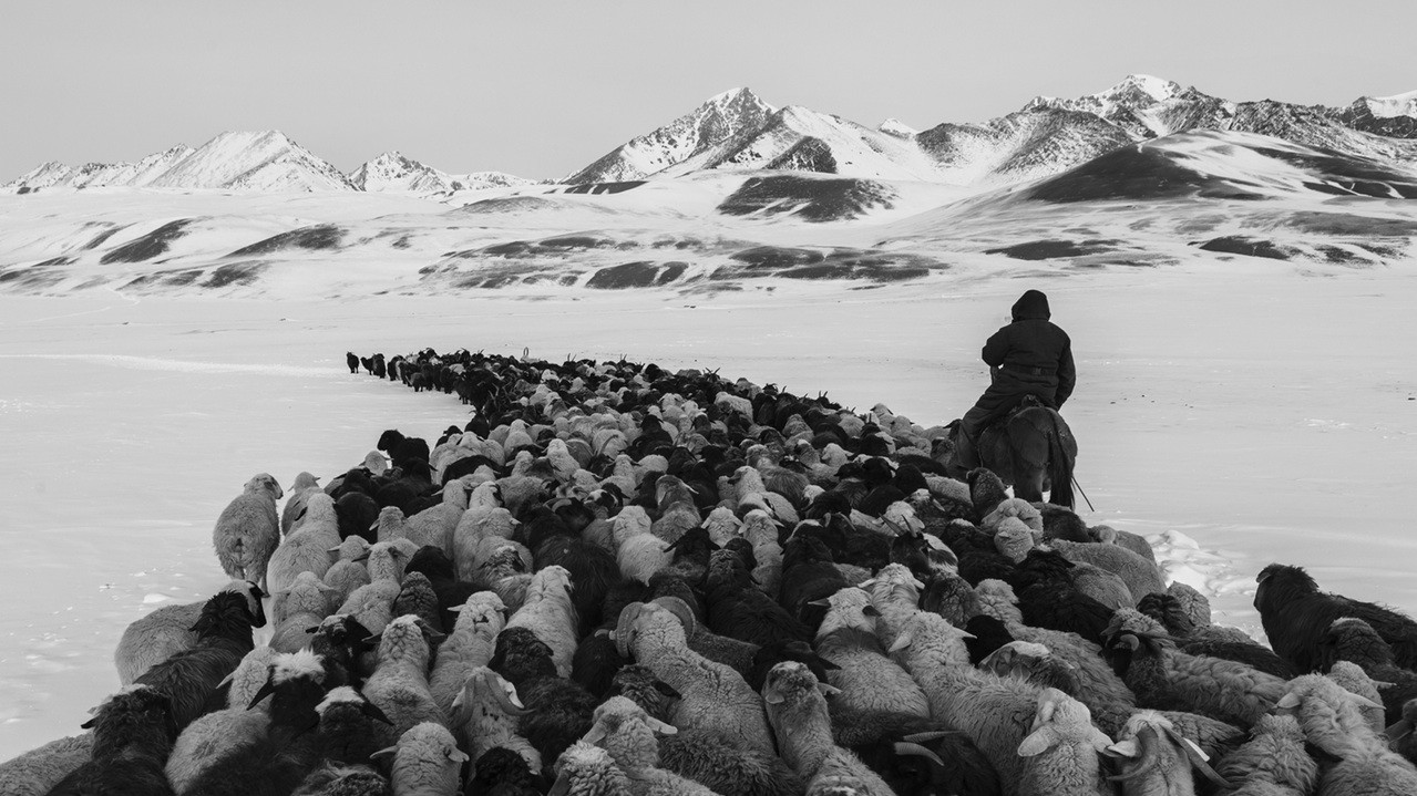 Фото: Фредерік Буйк. Із серії Horse Head про пастухів в Киргизії