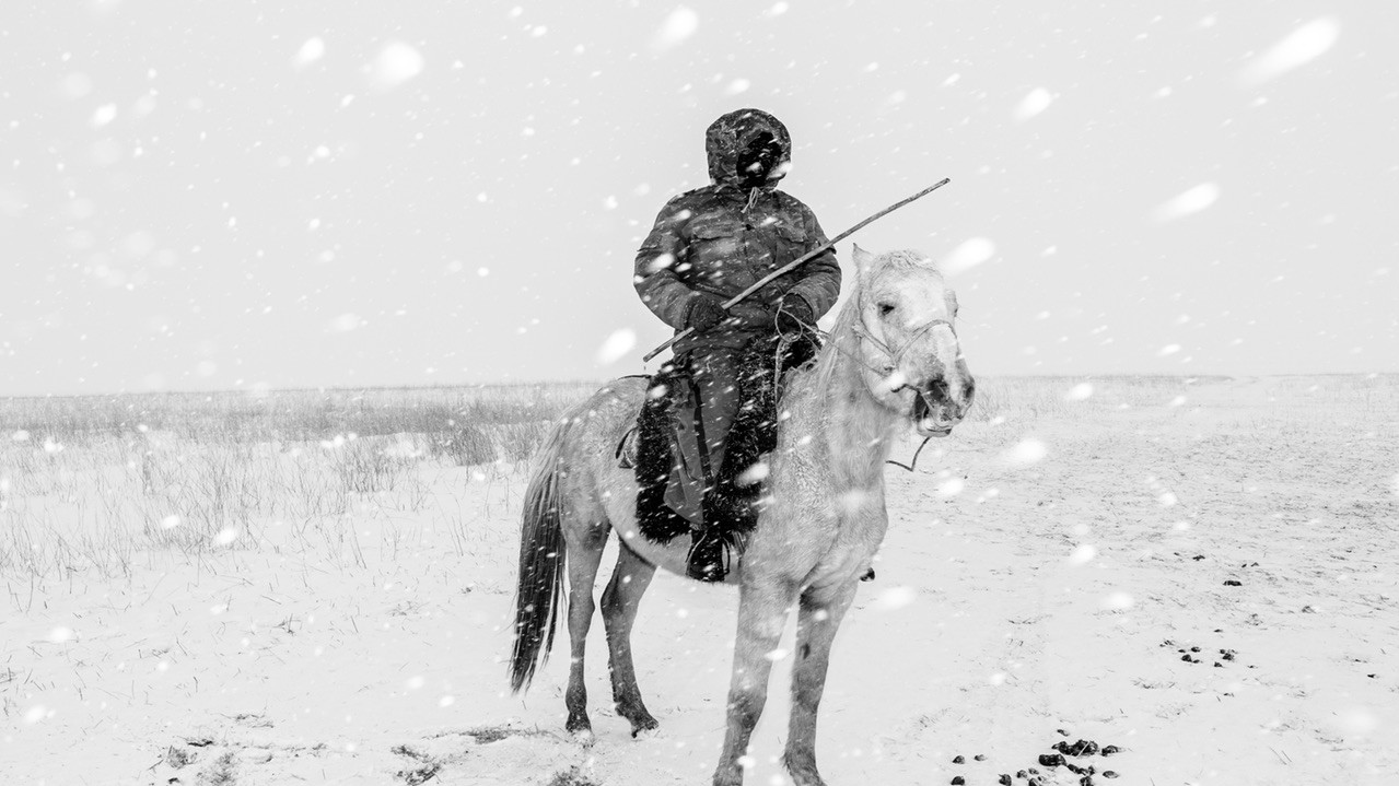 Фото: Фредерік Буйк. Із серії Horse Head про пастухів в Киргизії